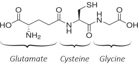 Glutatione